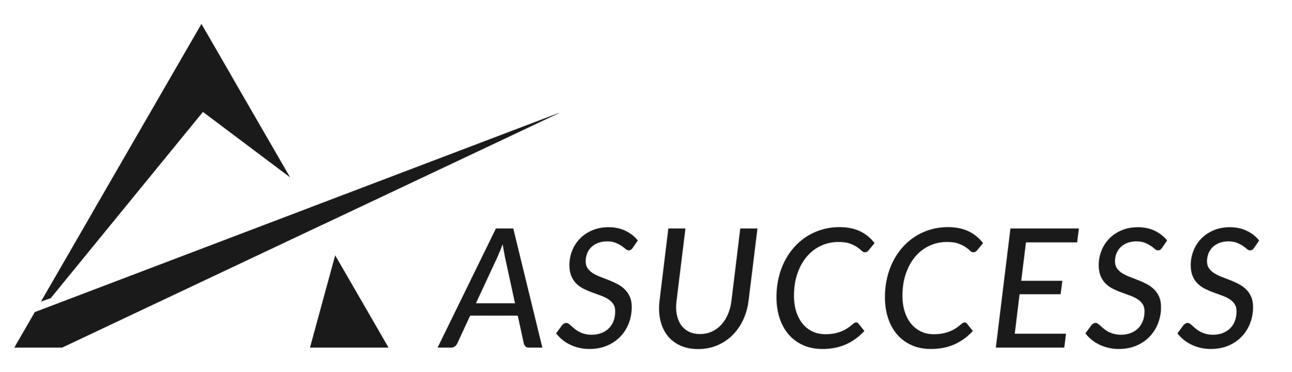 Asuccess Agencia